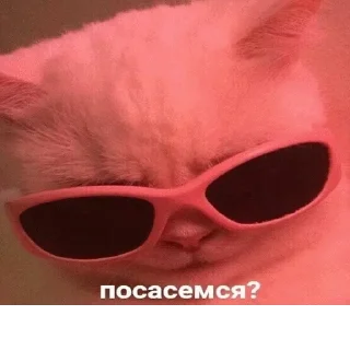 Стикер @sticksbb 🩷 <- канал со стиками - 6