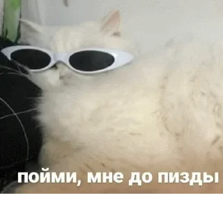 Стикер @sticksbb 🩷 <- канал со стиками - 3