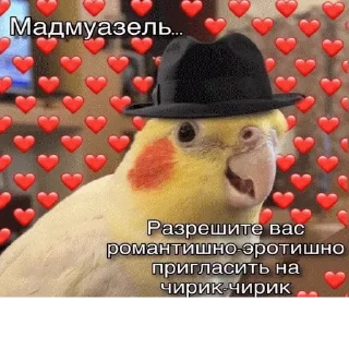 Стикер @sticksbb 🩷 <- канал со стиками - 9