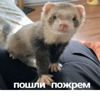 Стикер @sticksbb 🩷 <- канал со стиками - 10