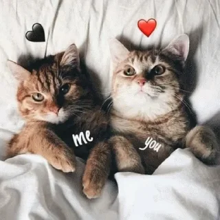 Стикер @sticksbb 🩷 <- канал со стиками - 7