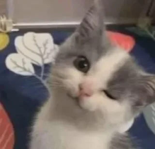 Sticker Больше стиков тут: @stikery4 - 7