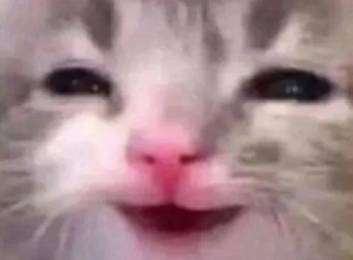 Больше стиков тут: @stikery4 - 