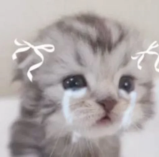 Sticker JZMRRTXYVE_by_stikeri_stikeri_bot - 1