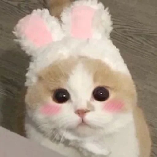 Sticker JZMRRTXYVE_by_stikeri_stikeri_bot - 1