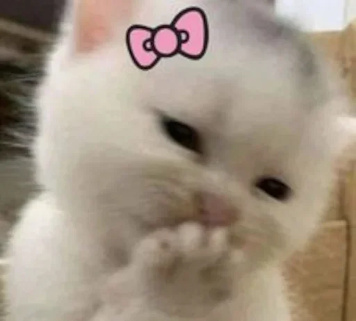 Sticker JZMRRTXYVE_by_stikeri_stikeri_bot - 1