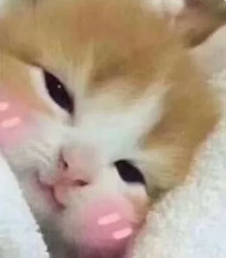 Sticker JZMRRTXYVE_by_stikeri_stikeri_bot - 1