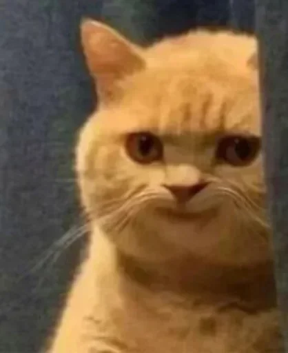 Sticker JZMRRTXYVE_by_stikeri_stikeri_bot - 1