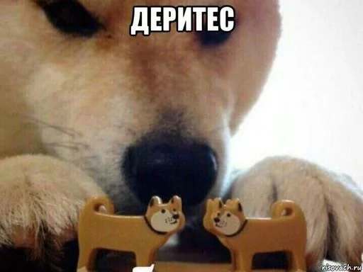 ??? Жабабот - text