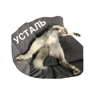 Стикер ПИСЕЛЬ - 1