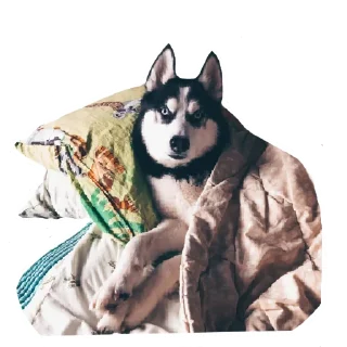 Стикер ПИСЕЛЬ - 10