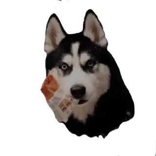 Стикер ПИСЕЛЬ - 6