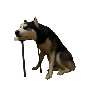 Стикер ПИСЕЛЬ - 5