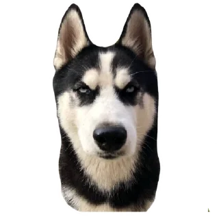 Стикер ПИСЕЛЬ - 4