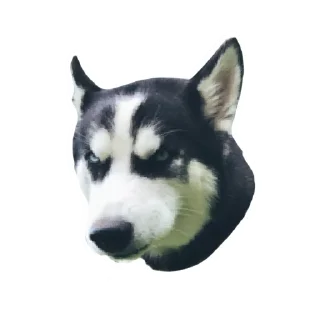 Стикер ПИСЕЛЬ - 9