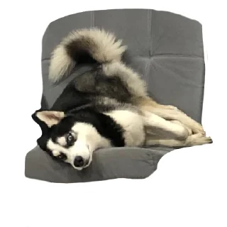 Стикер ПИСЕЛЬ - 2