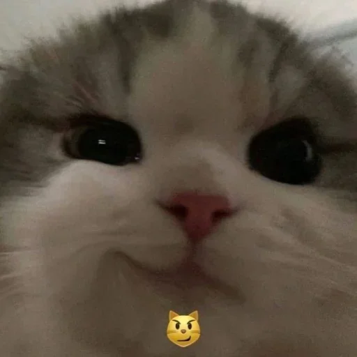 Sticker Jakes_szos - 1