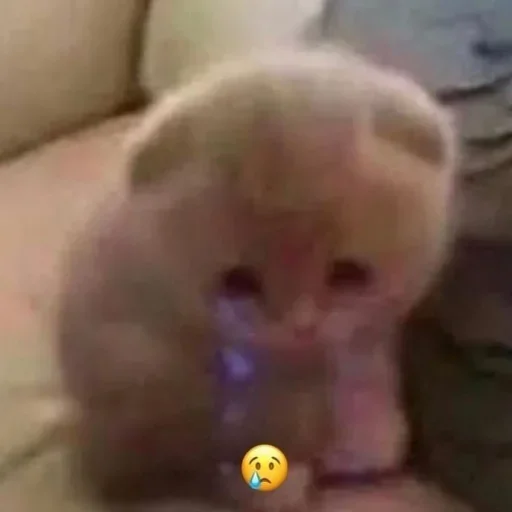 Sticker Jakes_szos - 1