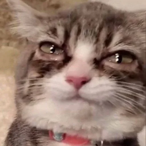 Стикер Jakes_szos - 1