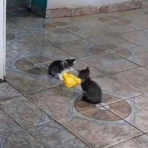 Стикер Jakes_szos - 1