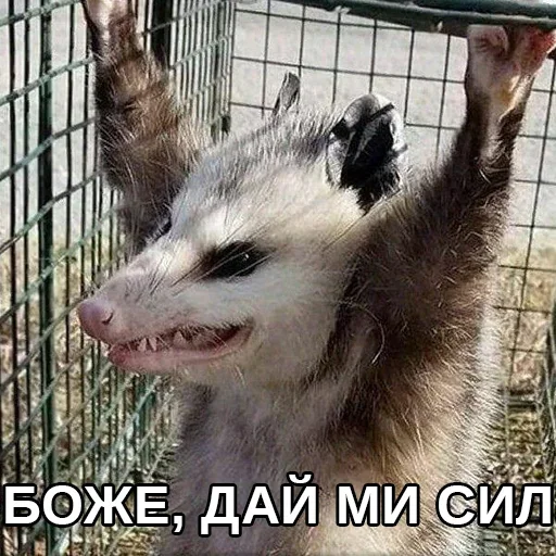 Стикер Jakes_szos - 1