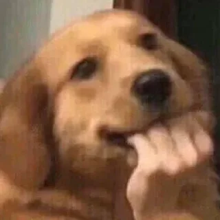 Sticker Шизові стікери - 9