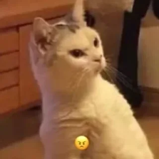 Sticker Шизові стікери - 7