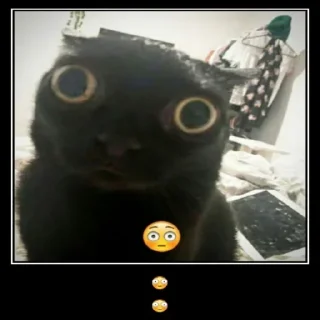 Sticker Шизові стікери - 1