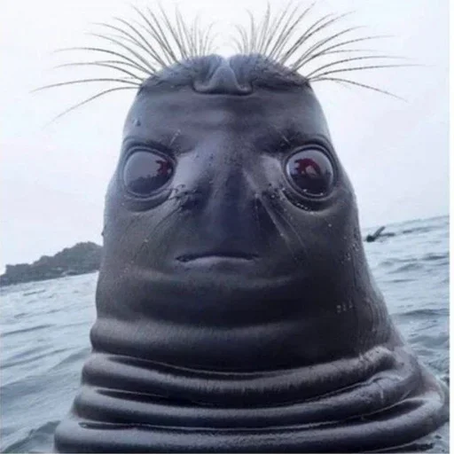 Sticker JamesonStore - 1