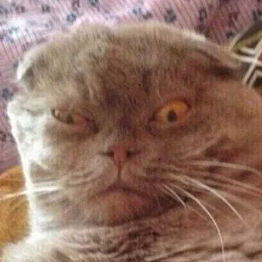 Sticker JamesonStore - 1