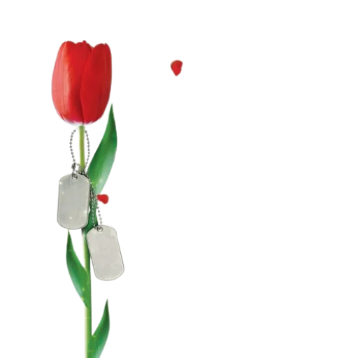 Sticker Janoube_Alhawa_sajid - 1