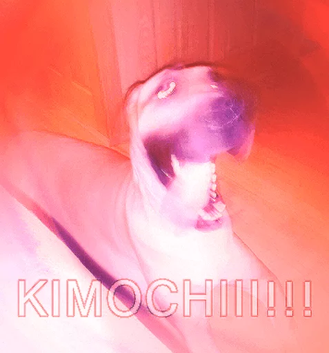 Sticker Japanese Animals - 10