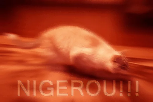 Sticker Japanese Animals - 7