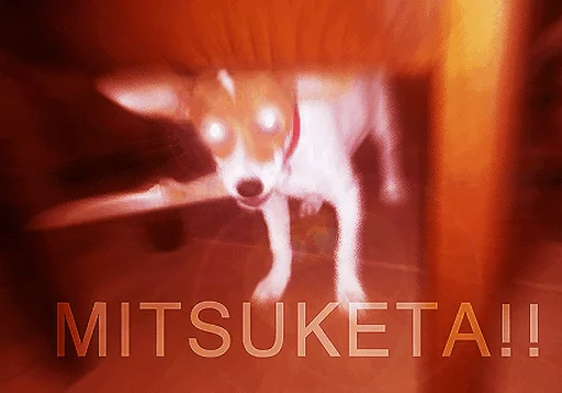 Sticker Japanese Animals - 5