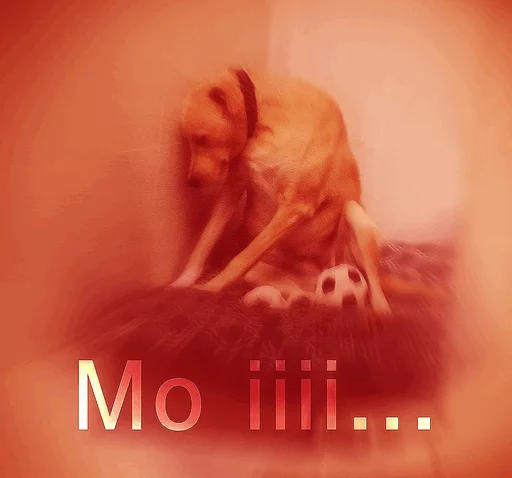 Sticker Japanese Animals - 2