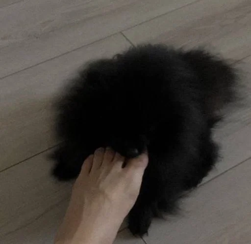 Sticker Sergey_crey👺 :: @fStikBot - 7