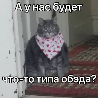 Sticker Заверну тебя в пельмешек - 11