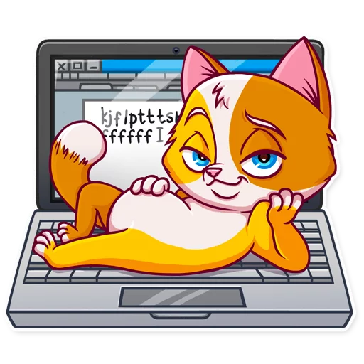 cat laptop computer