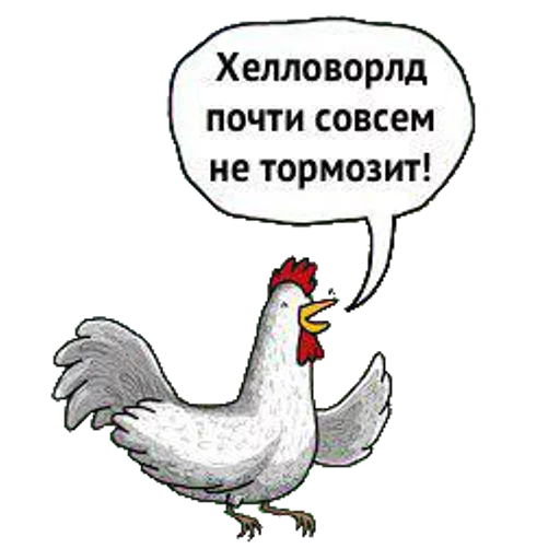 СМС курица галловая птица