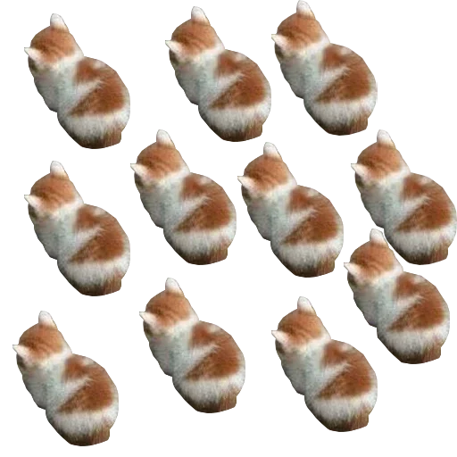 пища закуска