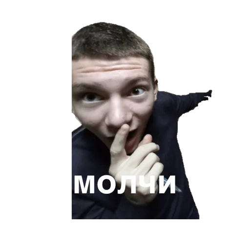 Sticker Jdriebos - 1