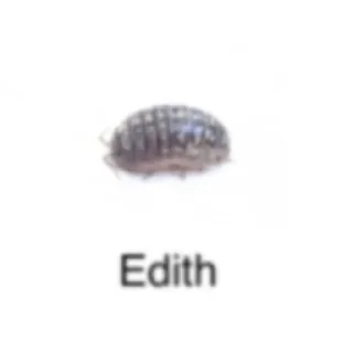 Стикер Больше стиков тут: @stikery4 - 6