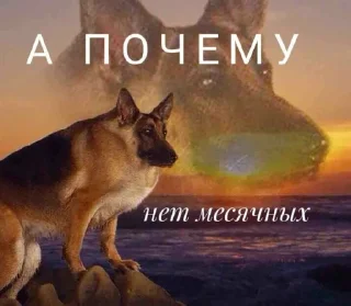 Стикер Чел - 2