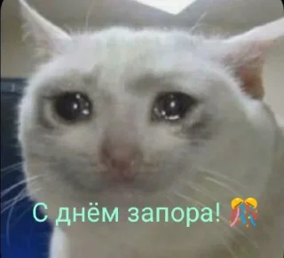 Стикер Чел - 0