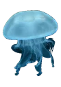 Sticker Jellyfish - 10