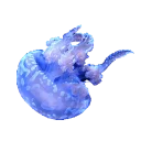 Sticker Jellyfish - 9