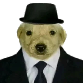 Sticker Крутая желтая собака амогус - 3