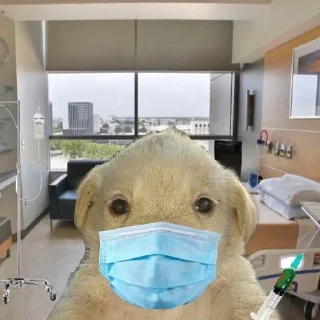 Sticker Крутая желтая собака амогус - 5