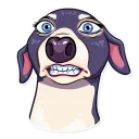 Sticker Chris the Bullfinch - 8