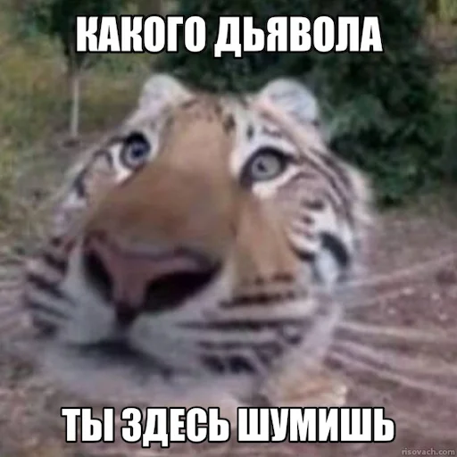 Sticker JerryTheTiger - 1